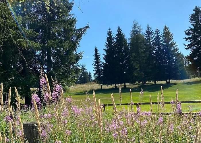 Ferienstudio Mit Herrlicher Berg- Und Talsicht * كرانز مونتانا